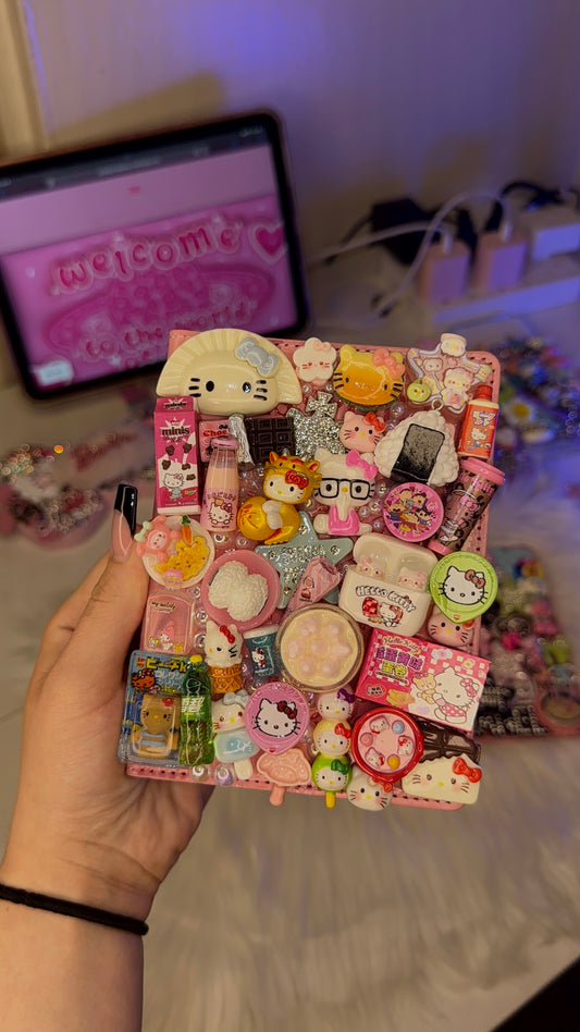 Premade kawaii passport cover🫧🎀
